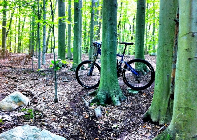 Pasion por el ciclismo